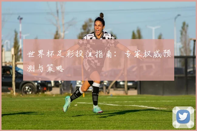 世界杯足彩投注指南：专家权威预测与策略