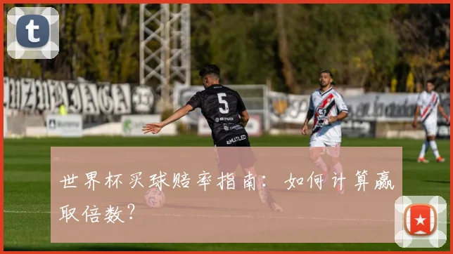 世界杯买球赔率指南:如何计算赢取倍数?