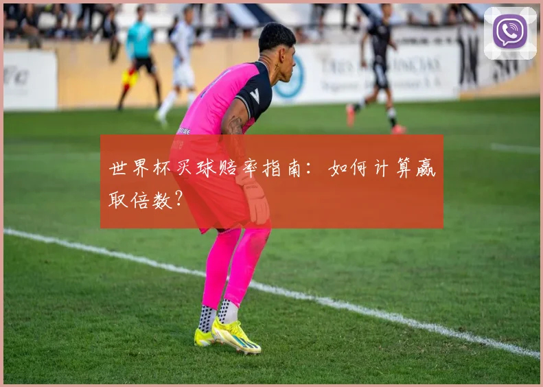 世界杯买球赔率指南:如何计算赢取倍数?