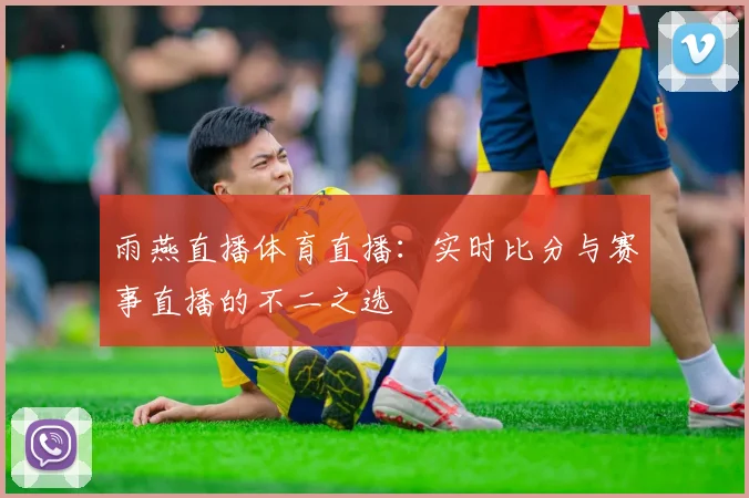雨燕直播体育直播：实时比分与赛事直播的不二之选