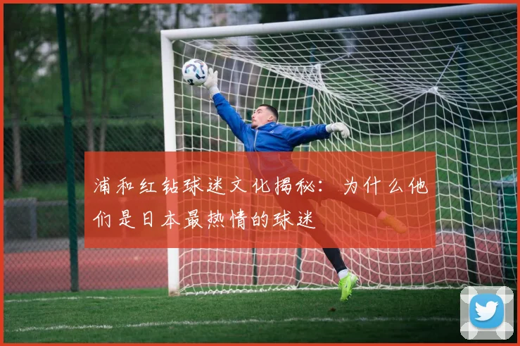 浦和红钻球迷文化揭秘:为什么他们是日本最热情的球迷