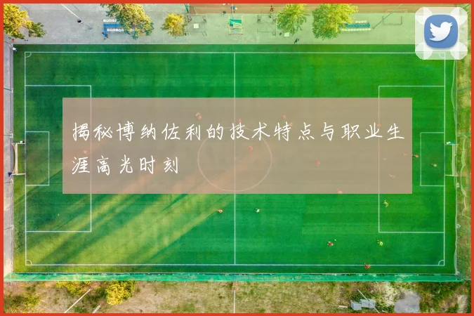 揭秘博纳佐利的技术特点与职业生涯高光时刻